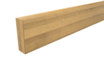 Silver Acacia